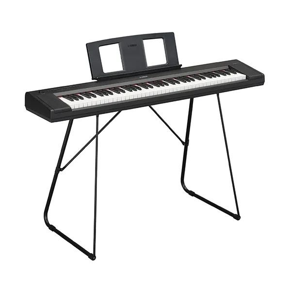 Music City – Tổng Kho Piano, Guitar, Organ | Dịch Vụ Giáo Dục Âm Nhạc