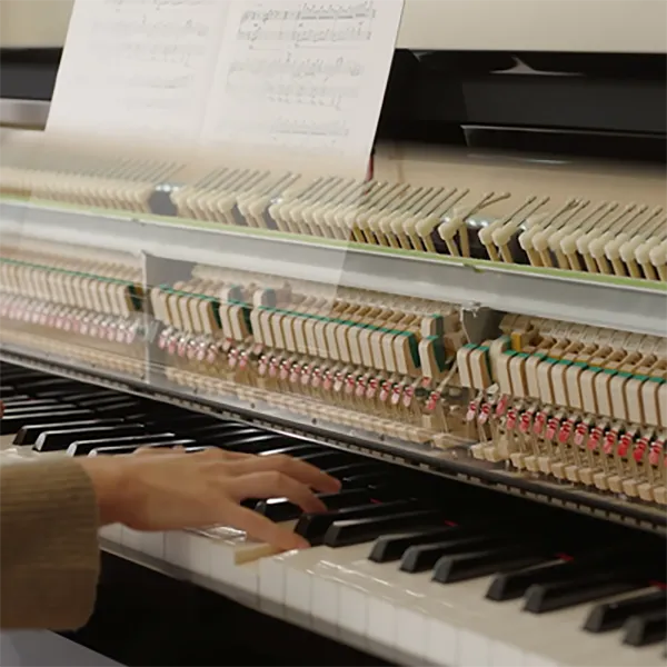 Music City – Tổng Kho Piano, Guitar, Organ | Dịch Vụ Giáo Dục Âm Nhạc