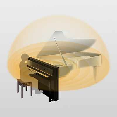 Music City – Tổng Kho Piano, Guitar, Organ | Dịch Vụ Giáo Dục Âm Nhạc