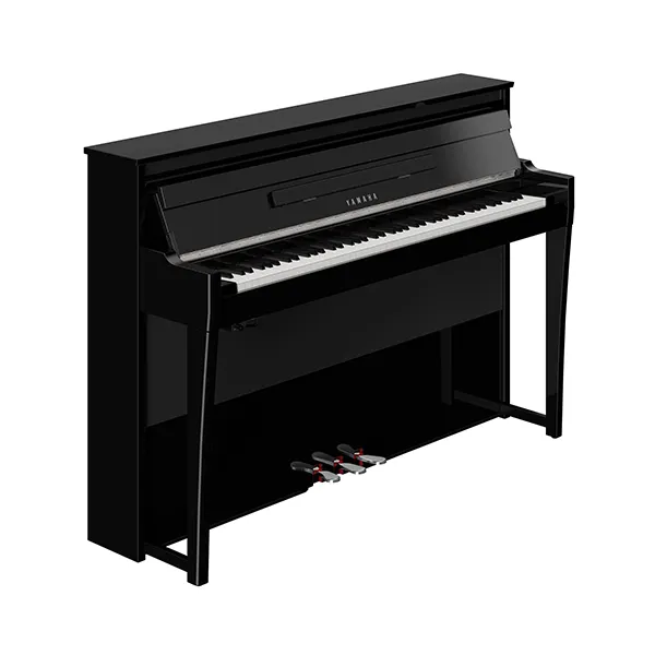 Music City – Tổng Kho Piano, Guitar, Organ | Dịch Vụ Giáo Dục Âm Nhạc