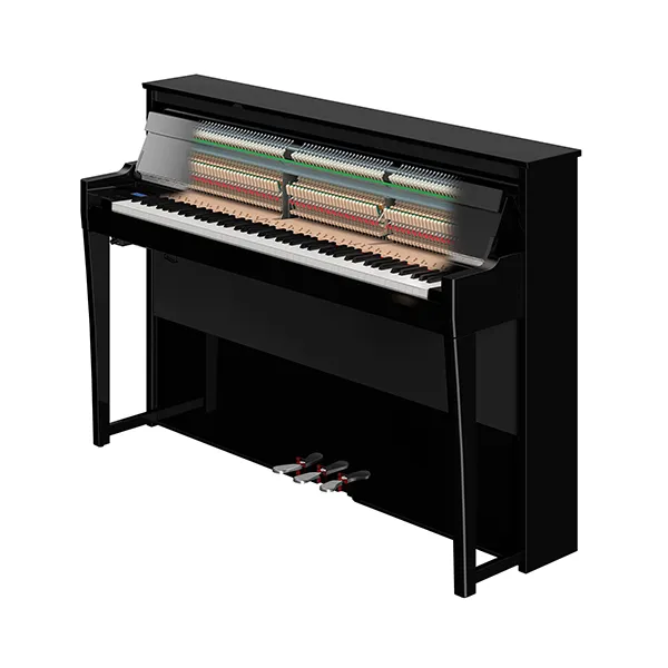 Music City – Tổng Kho Piano, Guitar, Organ | Dịch Vụ Giáo Dục Âm Nhạc