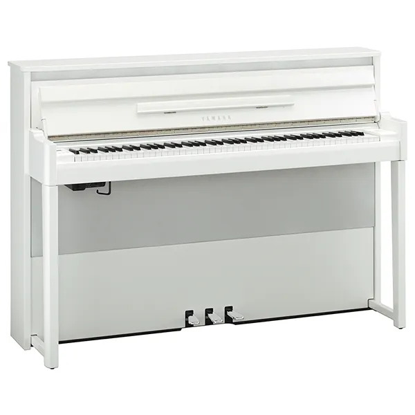Music City – Tổng Kho Piano, Guitar, Organ | Dịch Vụ Giáo Dục Âm Nhạc