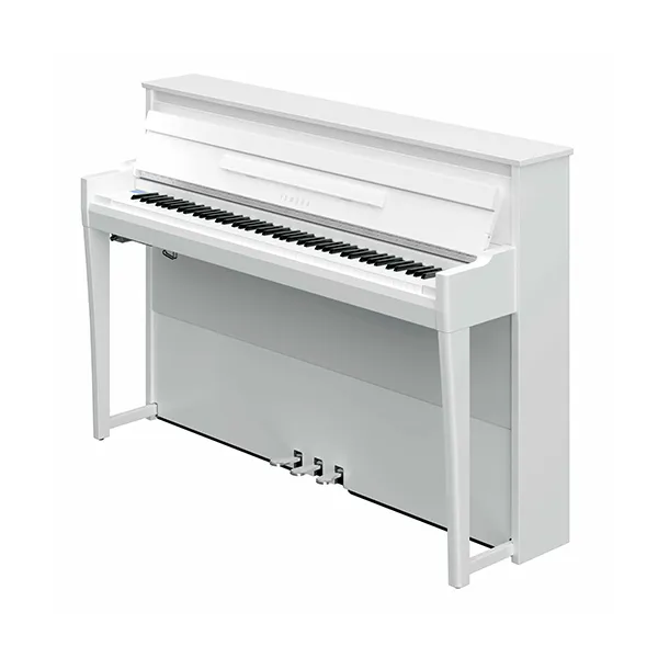 Music City – Tổng Kho Piano, Guitar, Organ | Dịch Vụ Giáo Dục Âm Nhạc