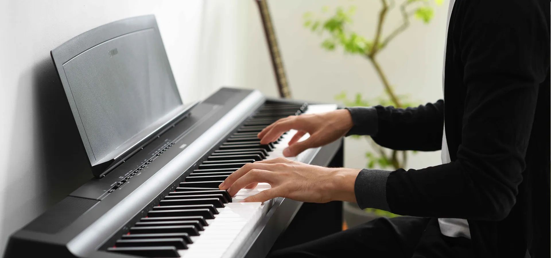 Music City – Tổng Kho Piano, Guitar, Organ | Dịch Vụ Giáo Dục Âm Nhạc
