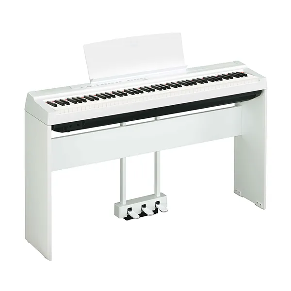 Music City – Tổng Kho Piano, Guitar, Organ | Dịch Vụ Giáo Dục Âm Nhạc