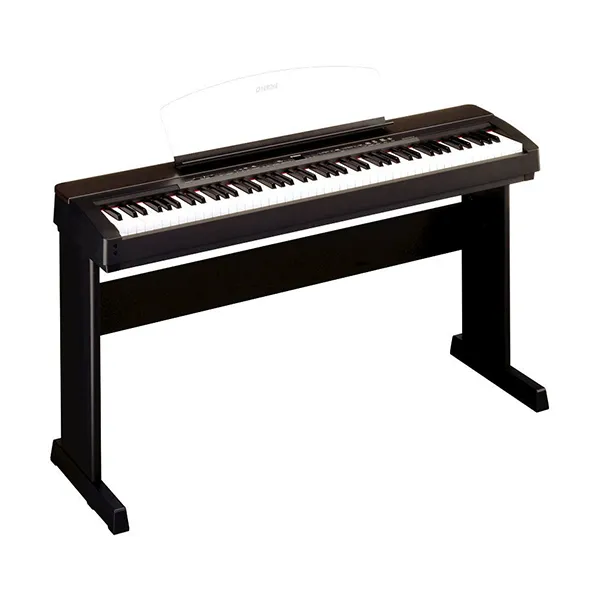 Music City – Tổng Kho Piano, Guitar, Organ | Dịch Vụ Giáo Dục Âm Nhạc