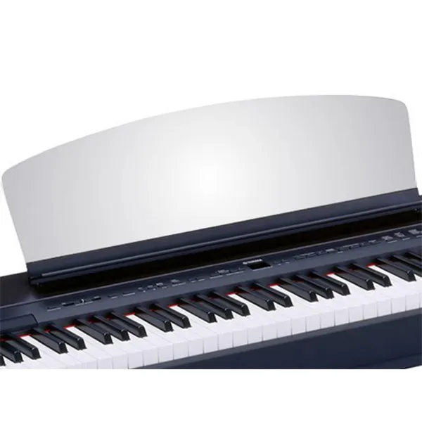 Music City – Tổng Kho Piano, Guitar, Organ | Dịch Vụ Giáo Dục Âm Nhạc