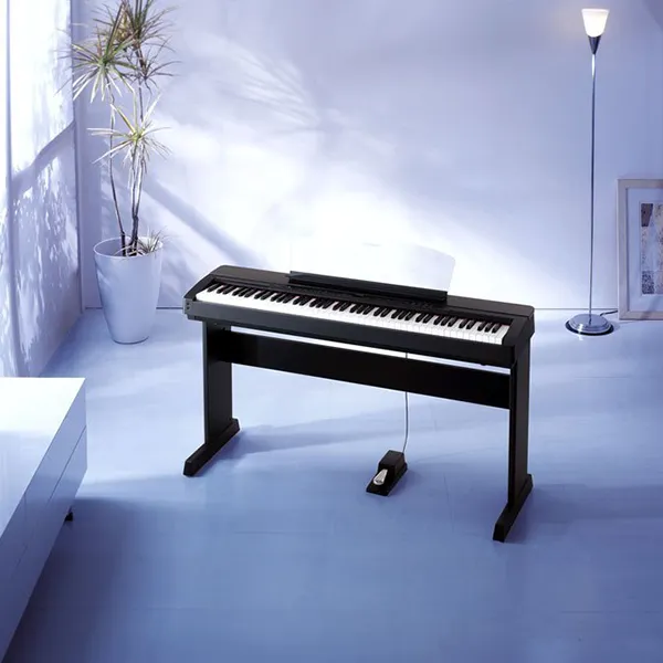 Music City – Tổng Kho Piano, Guitar, Organ | Dịch Vụ Giáo Dục Âm Nhạc