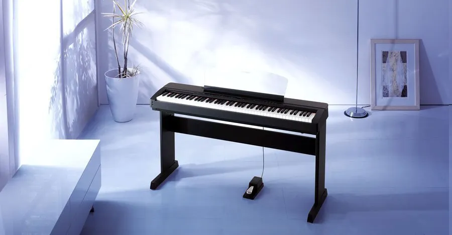 Music City – Tổng Kho Piano, Guitar, Organ | Dịch Vụ Giáo Dục Âm Nhạc
