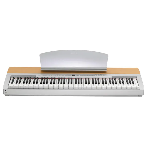 Music City – Tổng Kho Piano, Guitar, Organ | Dịch Vụ Giáo Dục Âm Nhạc