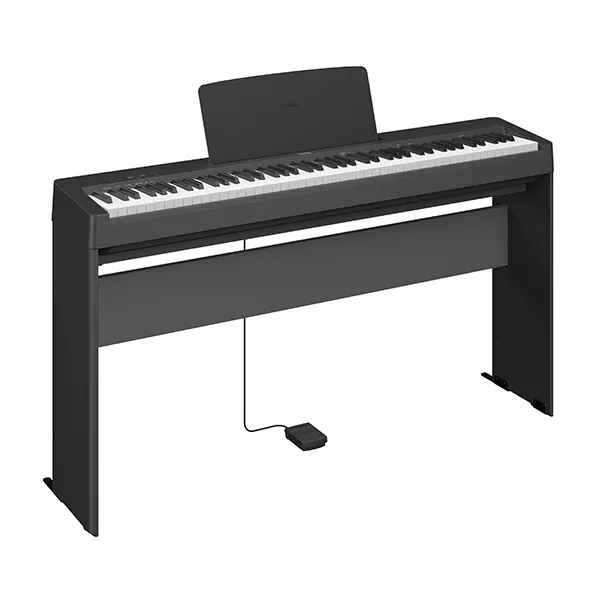 Music City – Tổng Kho Piano, Guitar, Organ | Dịch Vụ Giáo Dục Âm Nhạc