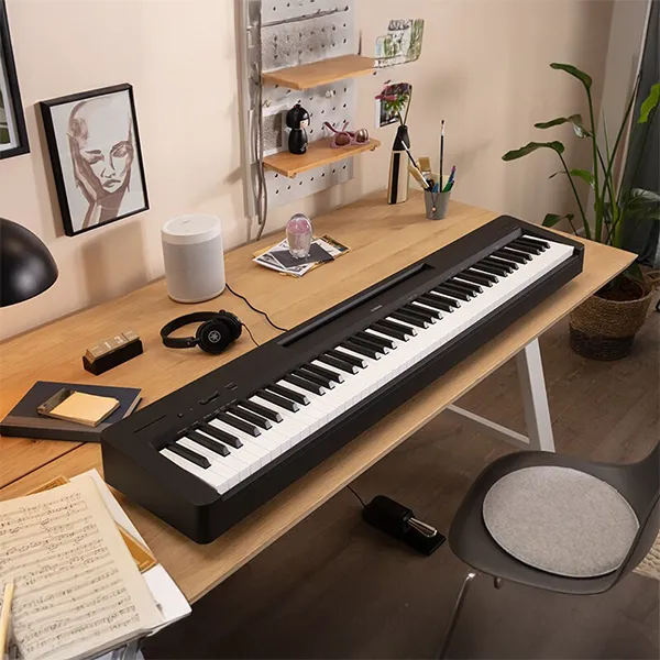 Music City – Tổng Kho Piano, Guitar, Organ | Dịch Vụ Giáo Dục Âm Nhạc