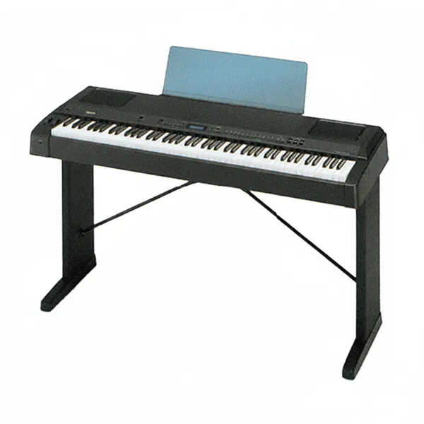 Music City – Tổng Kho Piano, Guitar, Organ | Dịch Vụ Giáo Dục Âm Nhạc