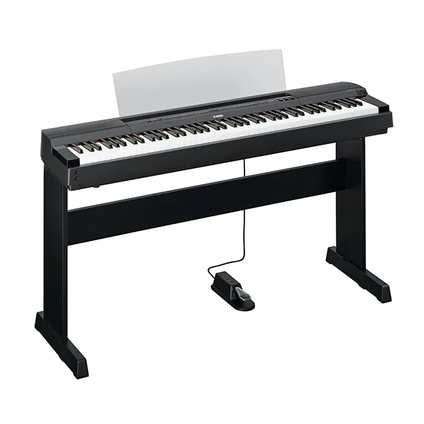 Music City – Tổng Kho Piano, Guitar, Organ | Dịch Vụ Giáo Dục Âm Nhạc
