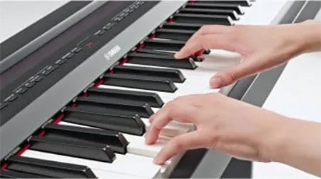 dan-piano-yamaha-p255-musiccity