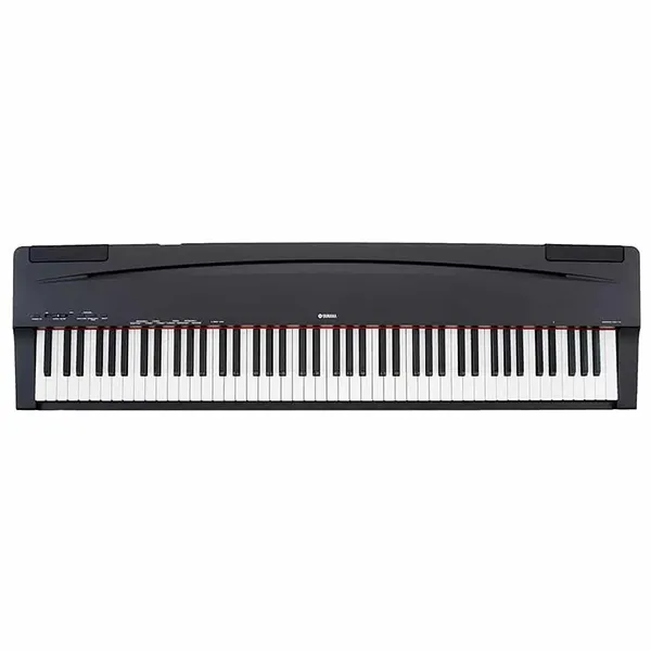 Music City – Tổng Kho Piano, Guitar, Organ | Dịch Vụ Giáo Dục Âm Nhạc