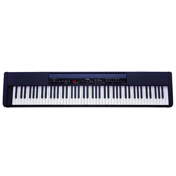 Music City – Tổng Kho Piano, Guitar, Organ | Dịch Vụ Giáo Dục Âm Nhạc