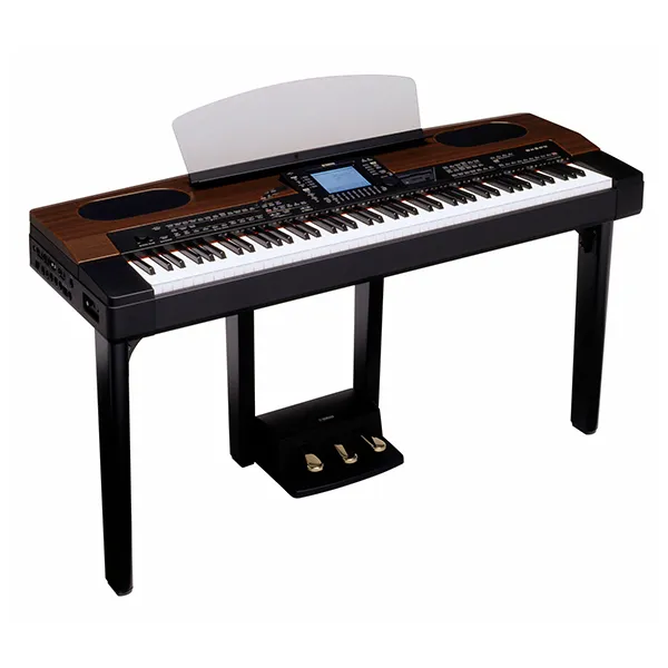 Music City – Tổng Kho Piano, Guitar, Organ | Dịch Vụ Giáo Dục Âm Nhạc