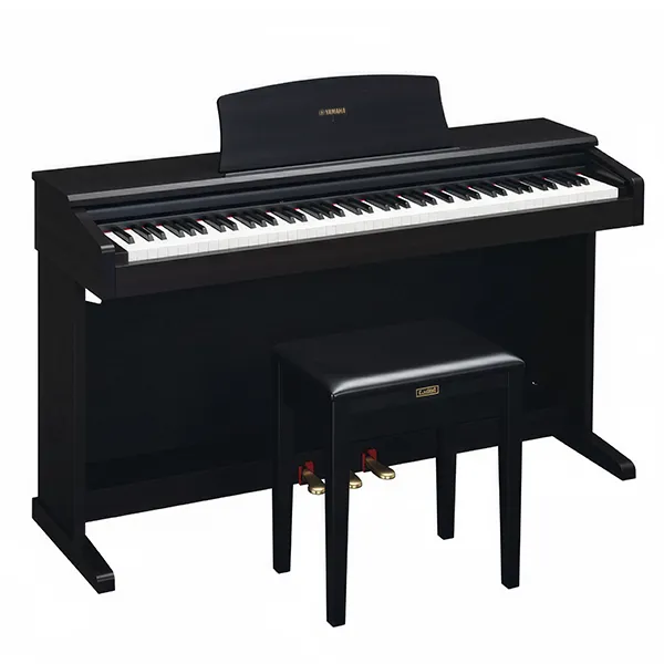 Music City – Tổng Kho Piano, Guitar, Organ | Dịch Vụ Giáo Dục Âm Nhạc