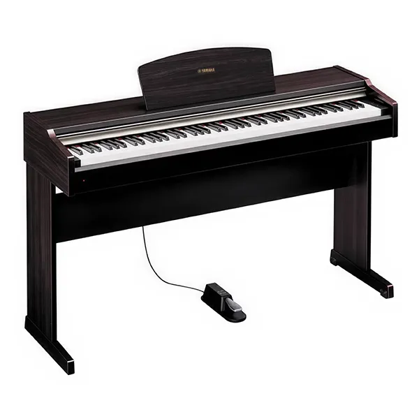 Music City – Tổng Kho Piano, Guitar, Organ | Dịch Vụ Giáo Dục Âm Nhạc