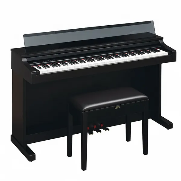 Music City – Tổng Kho Piano, Guitar, Organ | Dịch Vụ Giáo Dục Âm Nhạc