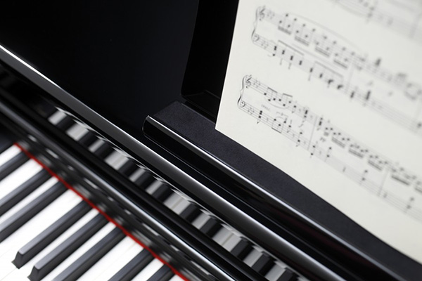 Music City – Tổng Kho Piano, Guitar, Organ | Dịch Vụ Giáo Dục Âm Nhạc