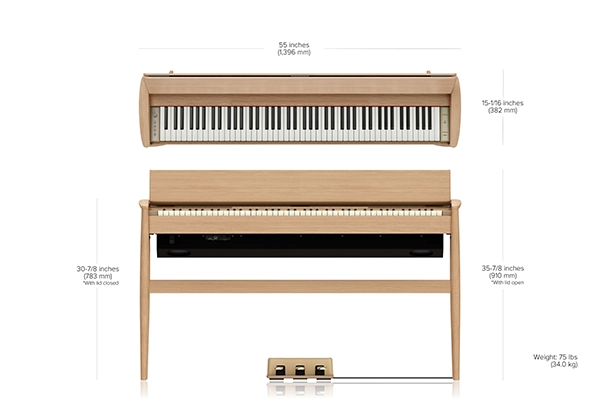 Music City – Tổng Kho Piano, Guitar, Organ | Dịch Vụ Giáo Dục Âm Nhạc